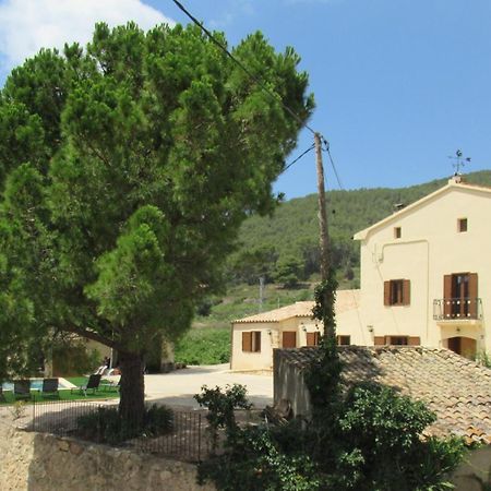 Casa Rural Cal Marti El Pla de Manlleu Dış mekan fotoğraf