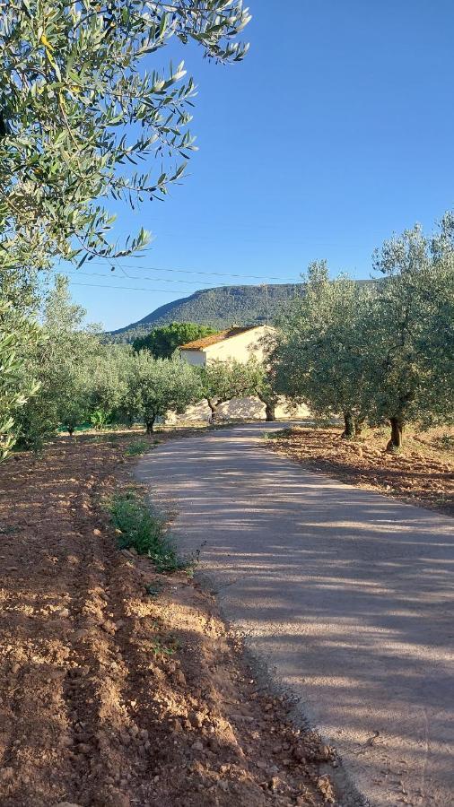 Casa Rural Cal Marti El Pla de Manlleu Dış mekan fotoğraf