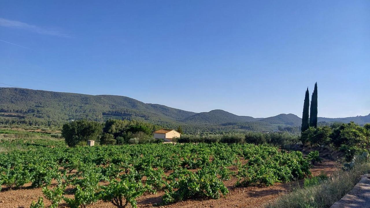 Casa Rural Cal Marti El Pla de Manlleu Dış mekan fotoğraf