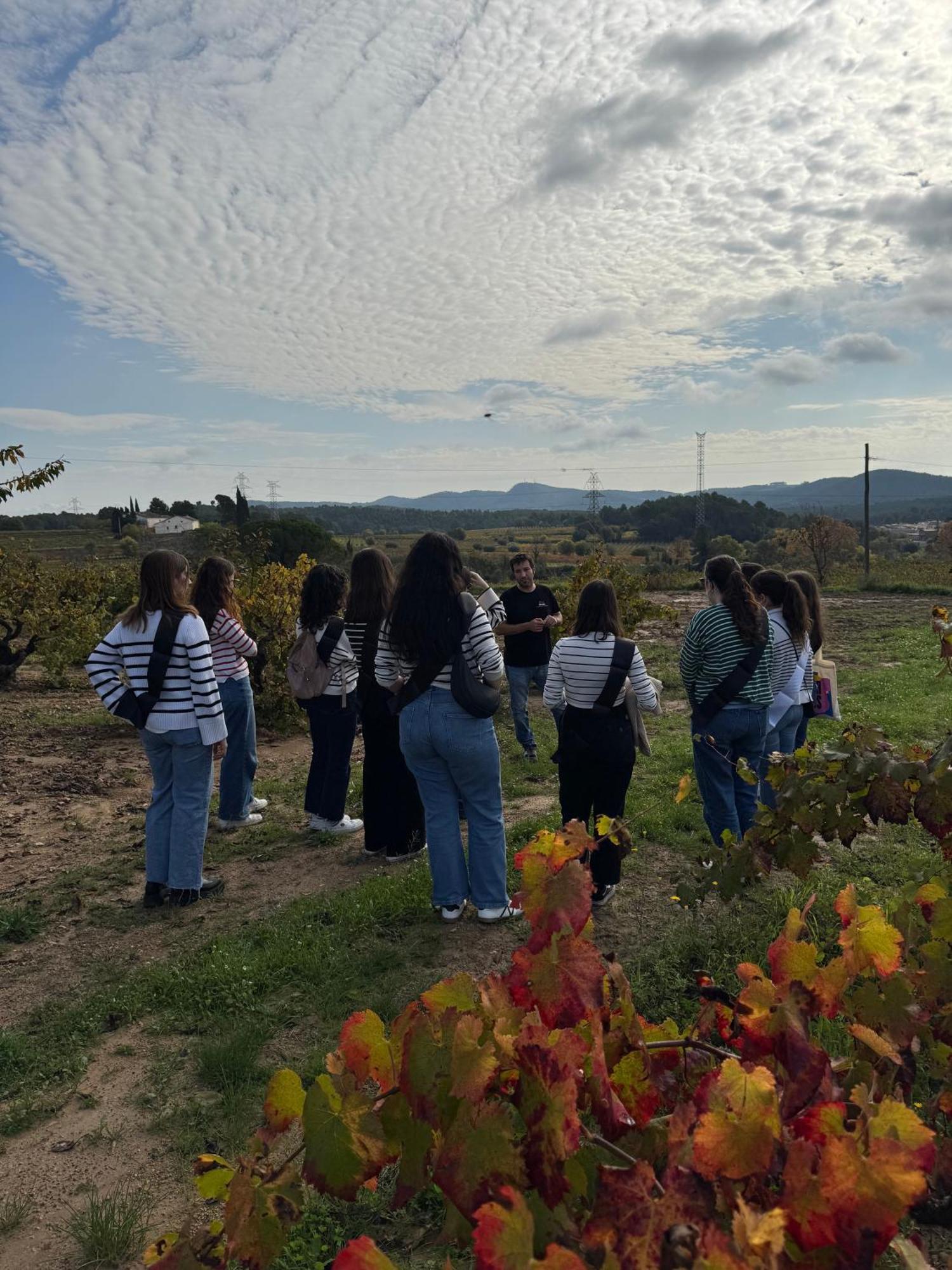 Casa Rural Cal Marti El Pla de Manlleu Dış mekan fotoğraf