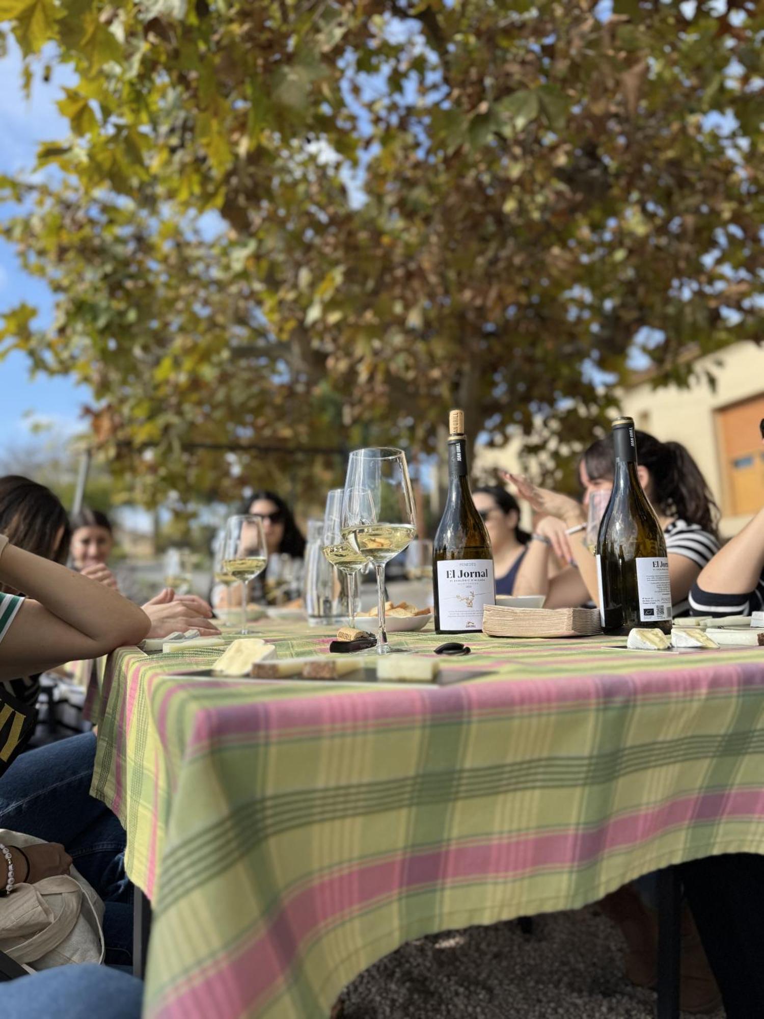 Casa Rural Cal Marti El Pla de Manlleu Dış mekan fotoğraf